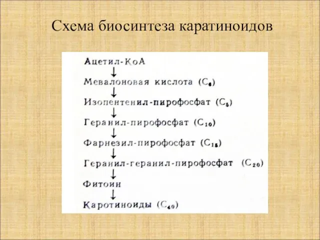 Схема биосинтеза каратиноидов