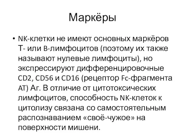 Маркёры NK-клетки не имеют основных маркёров Т- или B-лимфоцитов (поэтому