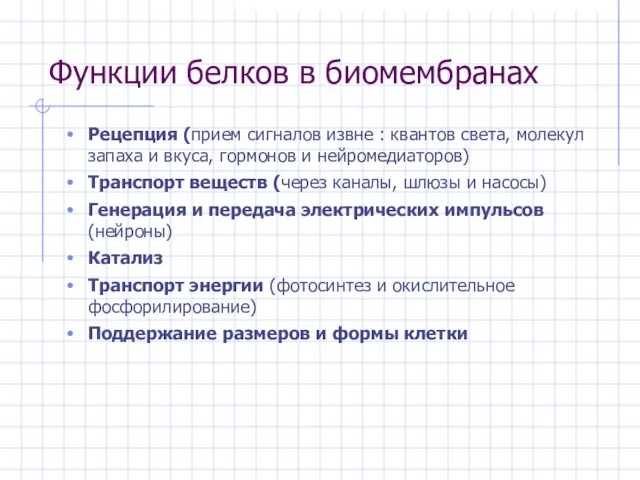 Функции белков в биомембранах Рецепция (прием сигналов извне : квантов света, молекул запаха