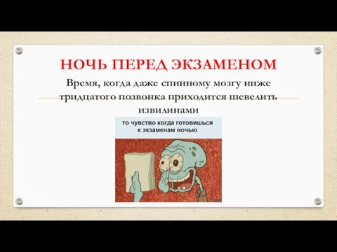 НОЧЬ ПЕРЕД ЭКЗАМЕНОМ Время, когда даже спинному мозгу ниже тридцатого позвонка приходится шевелить извилинами