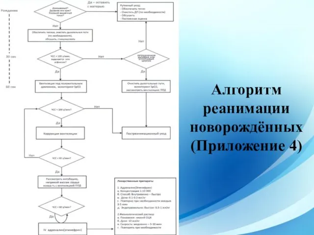 Алгоритм реанимации новорождённых (Приложение 4)