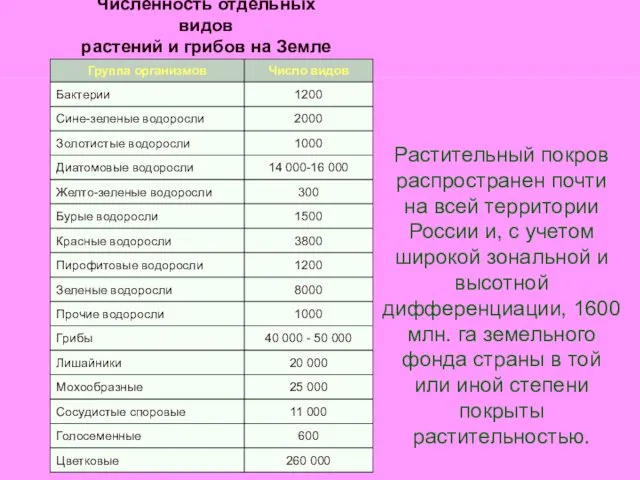 Численность отдельных видов растений и грибов на Земле Растительный покров