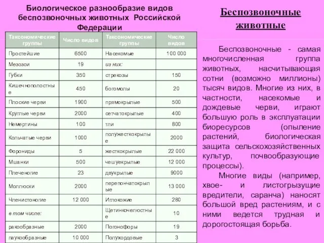 Беспозвоночные животные Биологическое разнообразие видов беспозвоночных животных Российской Федерации Беспозвоночные