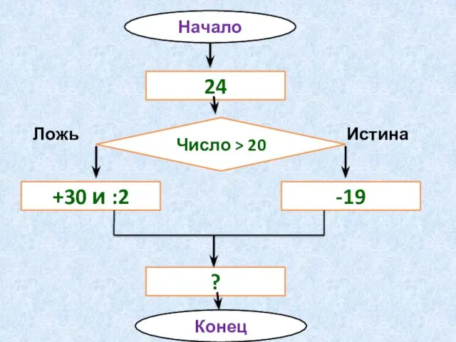 Начало 24 Конец +30 и :2 -19 ? Число > 20 Истина Ложь