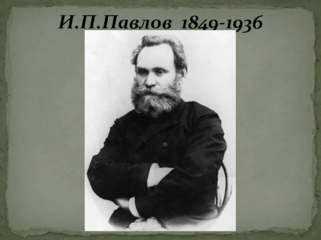 И.П.Павлов 1849-1936