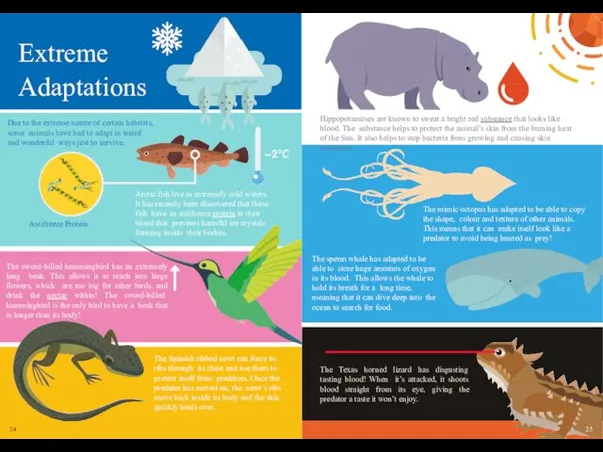 Extreme Adaptations Due to the extreme nature of certain habitats,