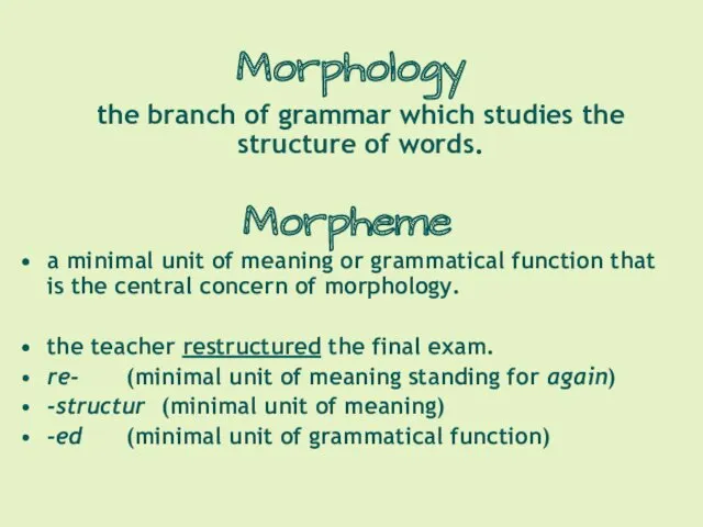 Morphology the branch of grammar which studies the structure of