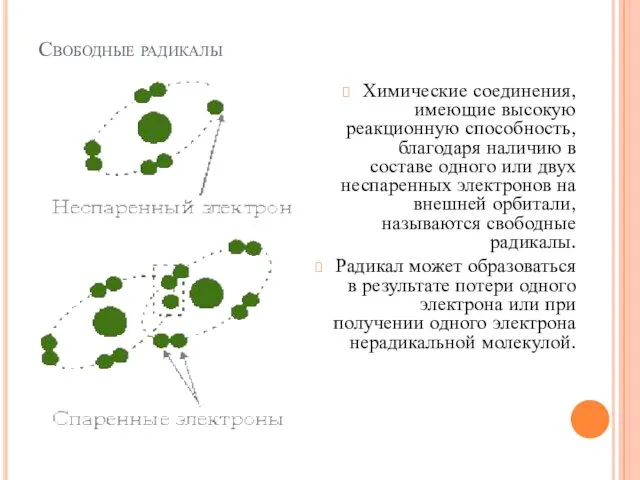 Свободные радикалы Химические соединения, имеющие высокую реакционную способность, благодаря наличию