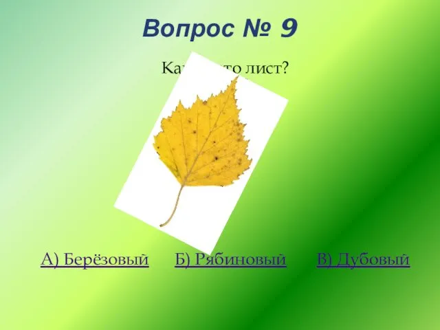 Вопрос № 9 Какой это лист? А) Берёзовый Б) Рябиновый В) Дубовый