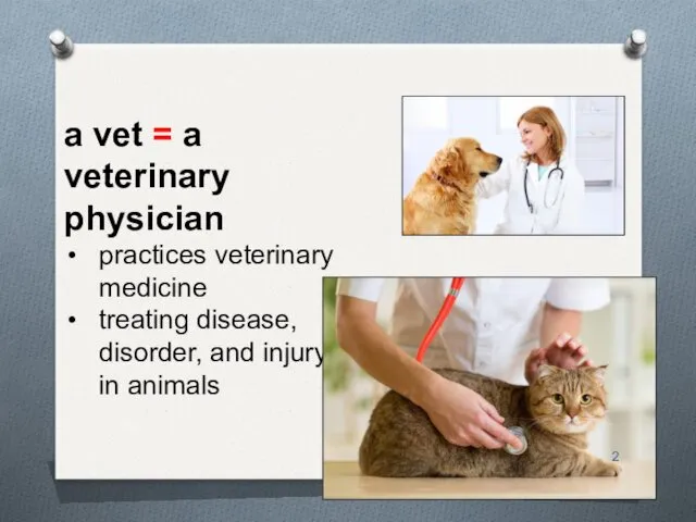 a vet = a veterinary physician practices veterinary medicine treating disease, disorder, and injury in animals