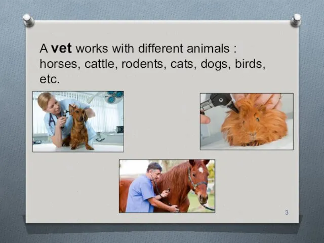 A vet works with different animals : horses, cattle, rodents, cats, dogs, birds, etc.