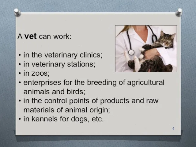 A vet can work: in the veterinary clinics; in veterinary