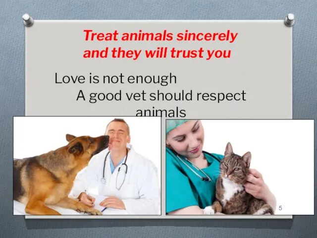 Love is not enough A good vet should respect animals