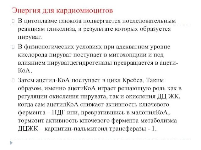 Энергия для кардиомиоцитов В цитоплазме глюкоза подвергается последовательным реакциям гликолиза, в результате которых