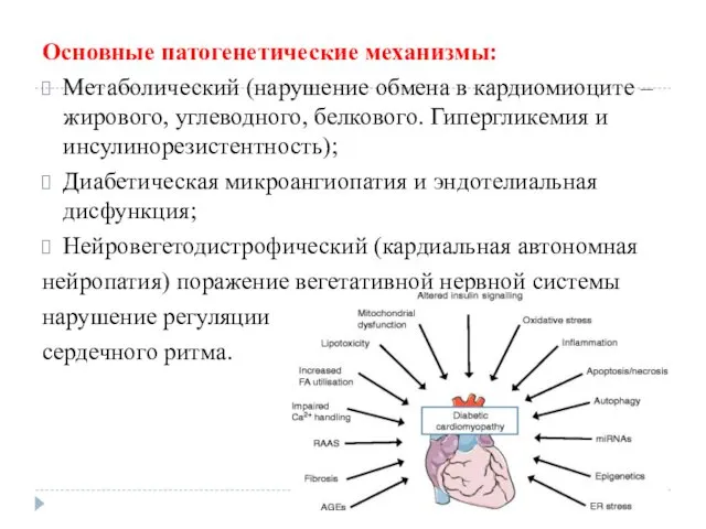 Основные патогенетические механизмы: Метаболический (нарушение обмена в кардиомиоците – жирового, углеводного, белкового. Гипергликемия