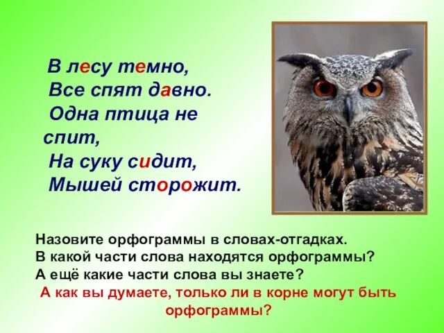 В лесу темно, Все спят давно. Одна птица не спит,