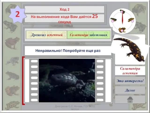 Очень жаль, но Ваше время закончилось! Начните снова ? Древолаз