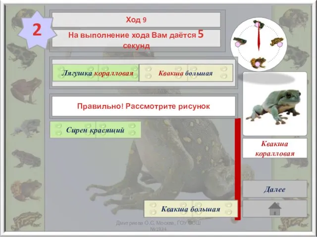 ? Лягушка коралловая Квакша большая Правильно! Рассмотрите рисунок Далее Квакша