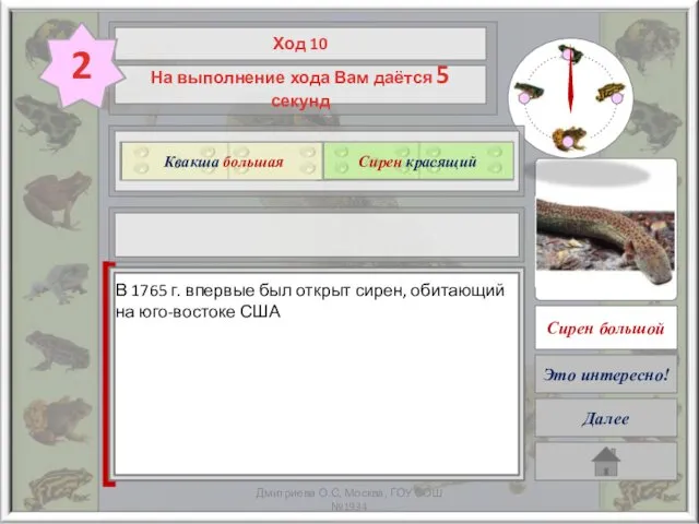 ? Квакша большая Сирен красящий Сирен красящий Далее Это интересно!