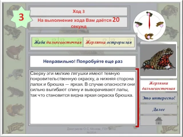 Очень жаль, но Ваше время закончилось! Начните снова ? Жаба