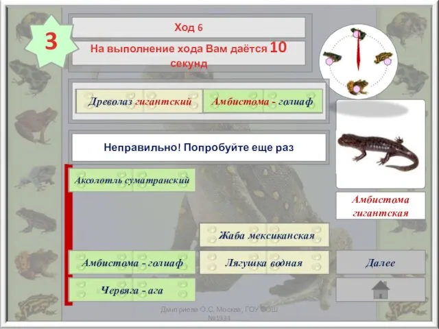 ? Древолаз гигантский Амбистома - голиаф Правильно! Рассмотрите рисунок Далее