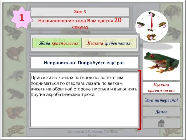 Очень жаль, но Ваше время закончилось! Начните снова ? Жаба