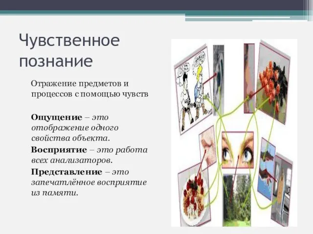 Чувственное познание Отражение предметов и процессов с помощью чувств Ощущение