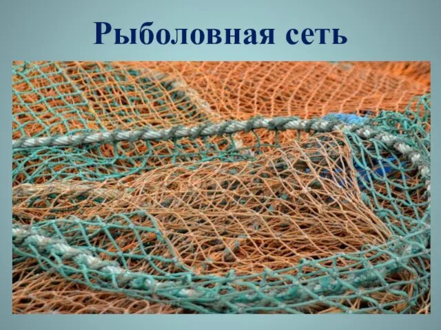 Рыболовная сеть