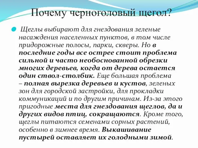 Щеглы выбирают для гнездования зеленые насаждения населенных пунктов, в том числе придорожные полосы,