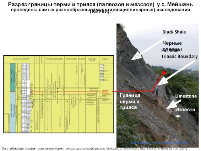 Лито- и биостратиграфия пограничных пермо-триасовых отложений разреза Мейшань (D) (Yin