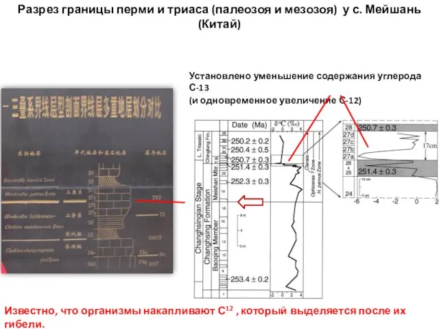 Разрез границы перми и триаса (палеозоя и мезозоя) у с.