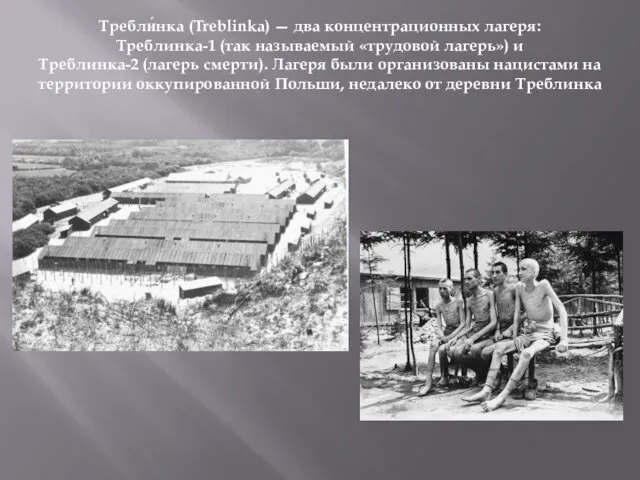 Требли́нка (Treblinka) — два концентрационных лагеря: Треблинка-1 (так называемый «трудовой