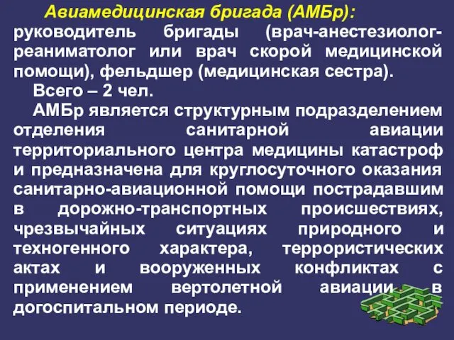 Авиамедицинская бригада (АМБр): руководитель бригады (врач-анестезиолог-реаниматолог или врач скорой медицинской