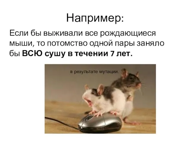 Например: Если бы выживали все рождающиеся мыши, то потомство одной