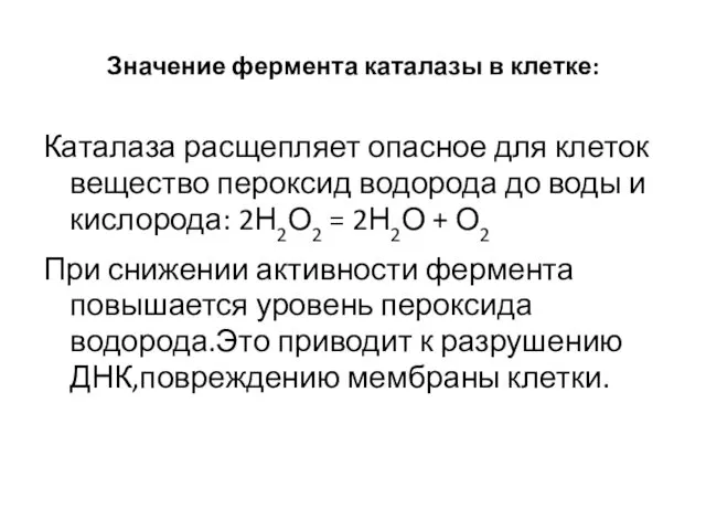 Значение фермента каталазы в клетке: Каталаза расщепляет опасное для клеток