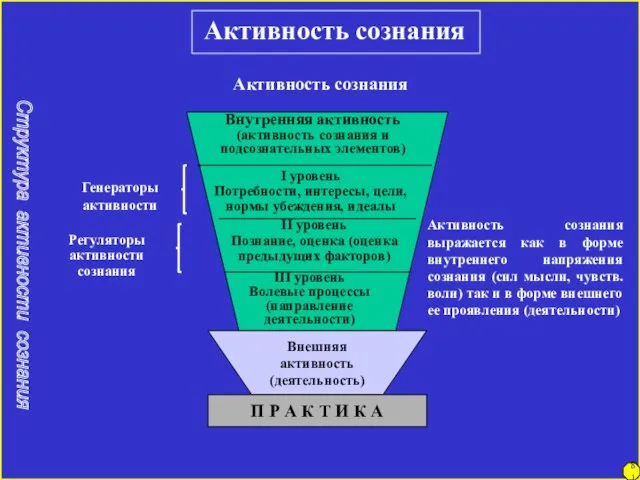 81 Активность сознания Структура активности сознания Внешняя активность (деятельность) П