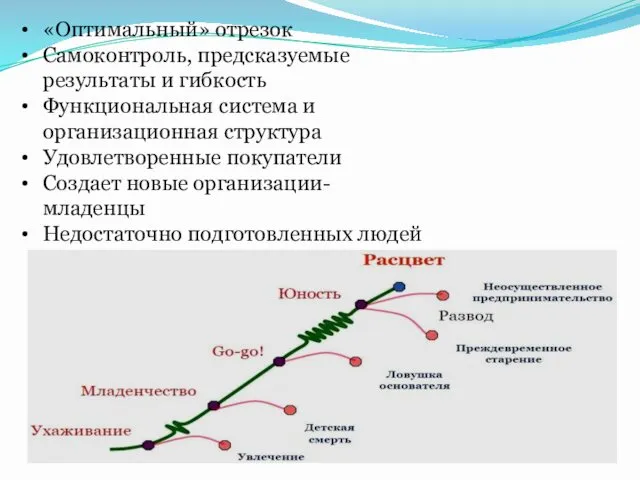 «Оптимальный» отрезок Самоконтроль, предсказуемые результаты и гибкость Функциональная система и