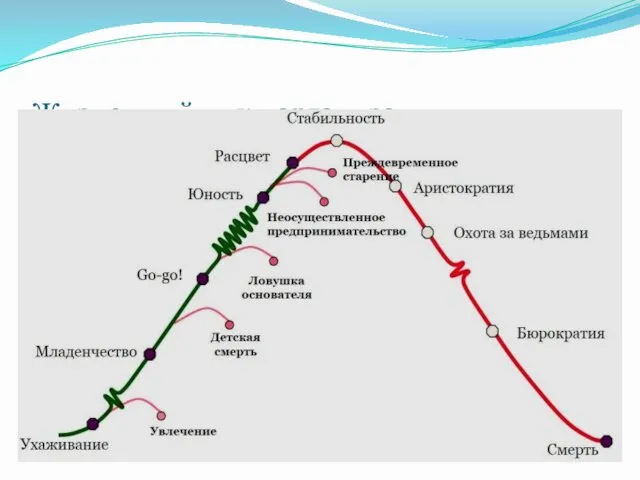 Жизненный цикл организации