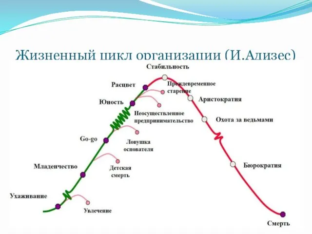 Жизненный цикл организации (И.Адизес)