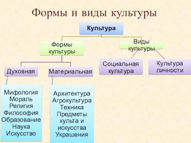 Формы и виды культуры