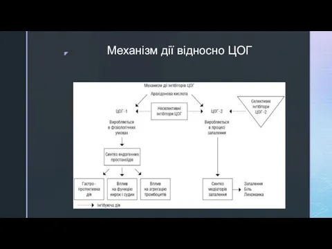 Механізм дії відносно ЦОГ