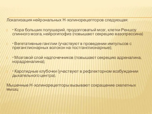 Локализация нейрональных Н-холинорецепторов следующая: • Кора больших полушарий, продолговатый мозг, клетки Реншоу спинного