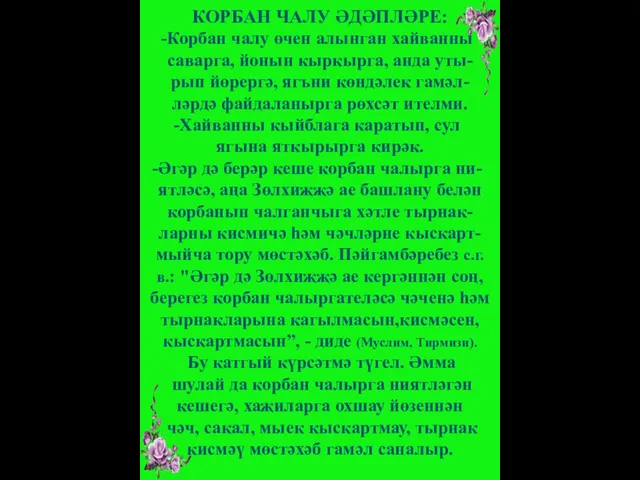 КОРБАН ЧАЛУ ӘДӘПЛӘРЕ: Корбан чалу өчен алынган хайванны саварга, йонын