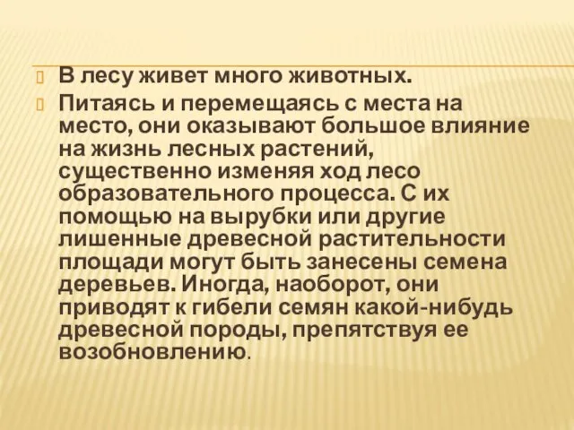 В лесу живет много животных. Питаясь и перемещаясь с места