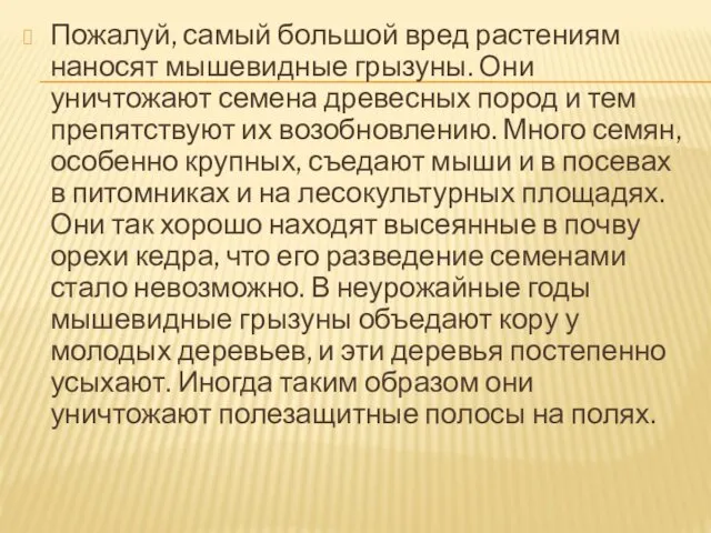 Пожалуй, самый большой вред растениям наносят мышевидные грызуны. Они уничтожают