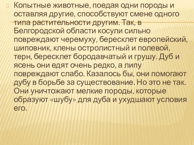 Копытные животные, поедая одни породы и оставляя другие, способствуют смене