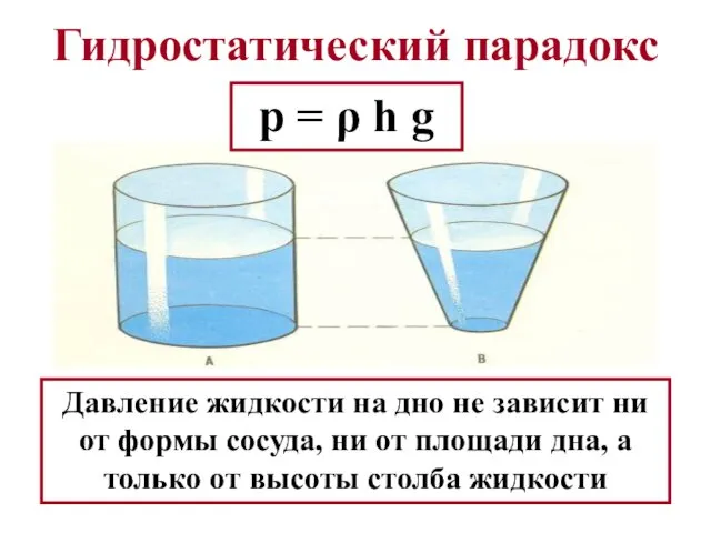 Гидростатический парадокс Давление жидкости на дно не зависит ни от формы сосуда, ни