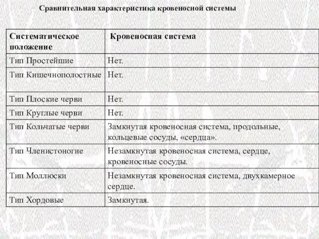 Сравнительная характеристика кровеносной системы