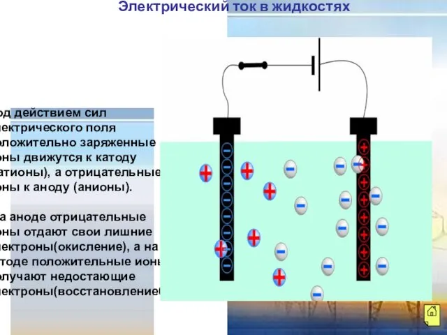 Под действием сил электрического поля положительно заряженные ионы движутся к