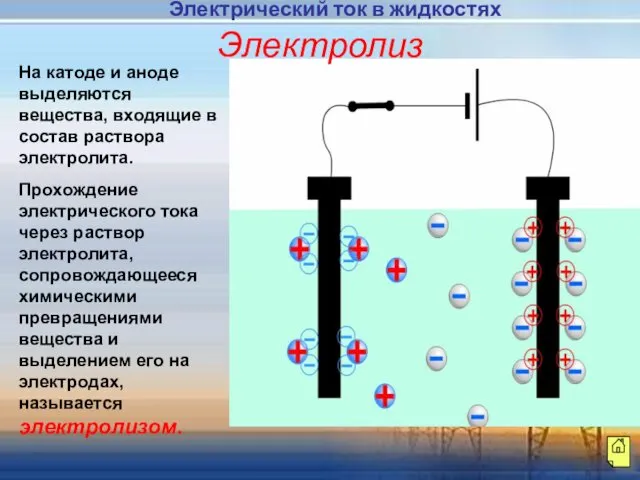 На катоде и аноде выделяются вещества, входящие в состав раствора